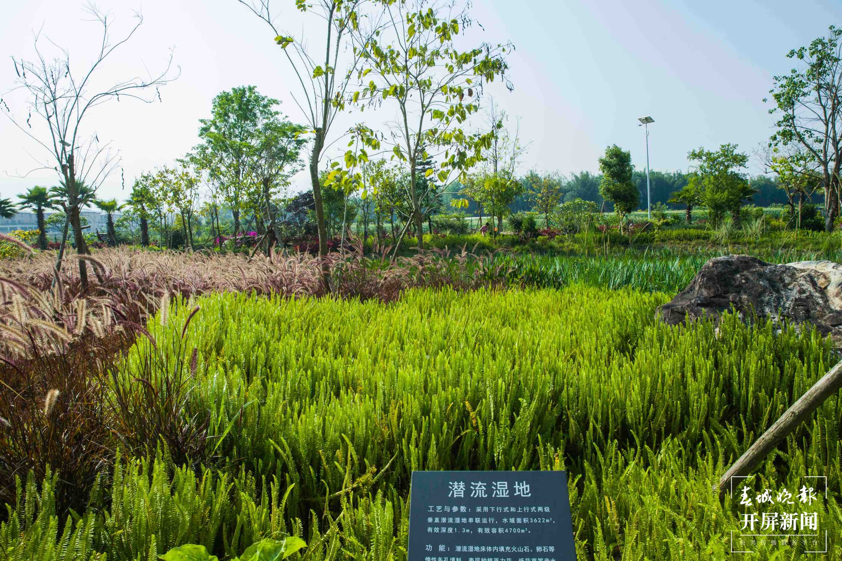初秋的芒市板过河 每一帧都是大片8.jpg