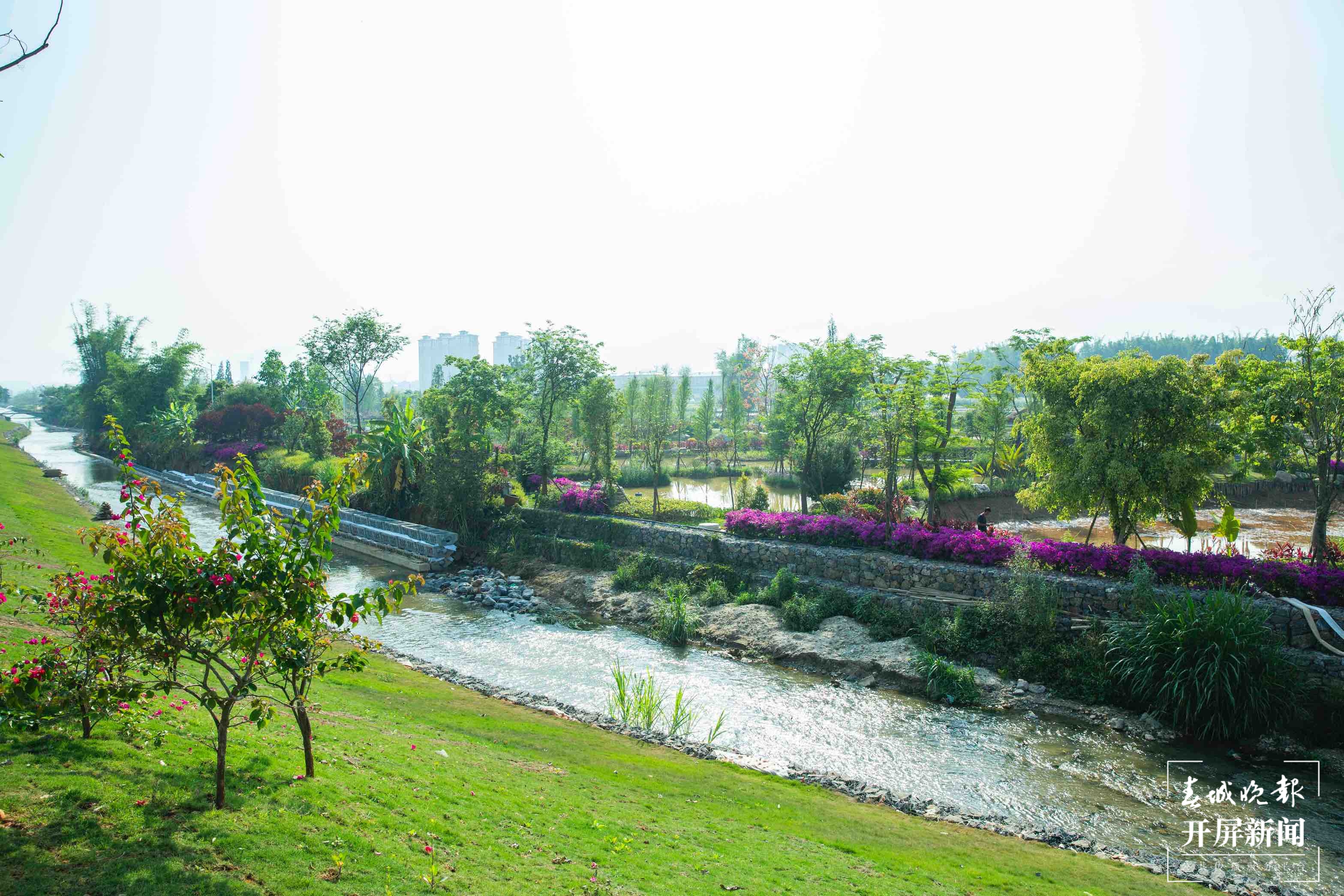 初秋的芒市板过河 每一帧都是大片10.jpg