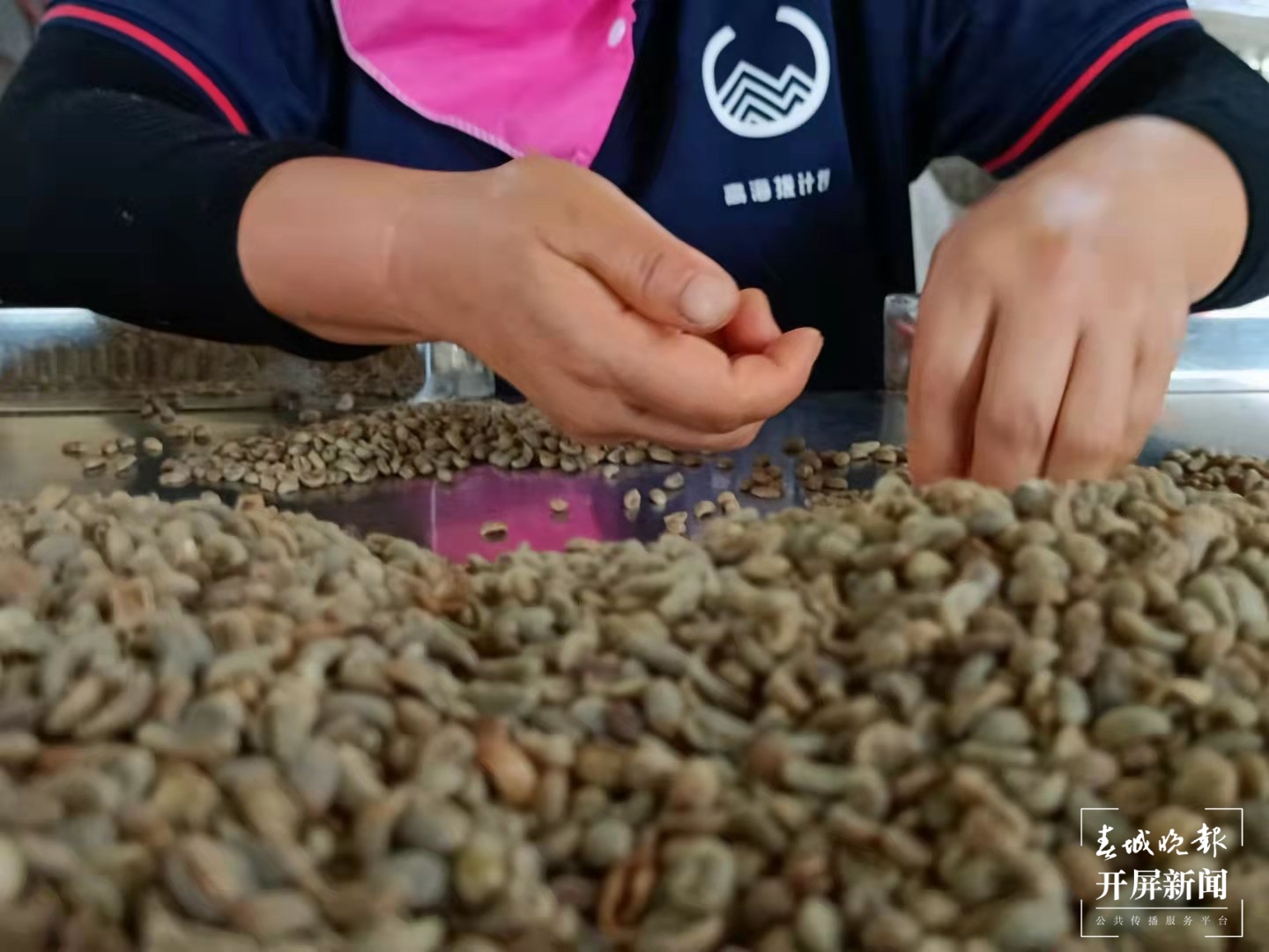 芸茶咖啡：打造“从种子到杯子”咖啡产业链