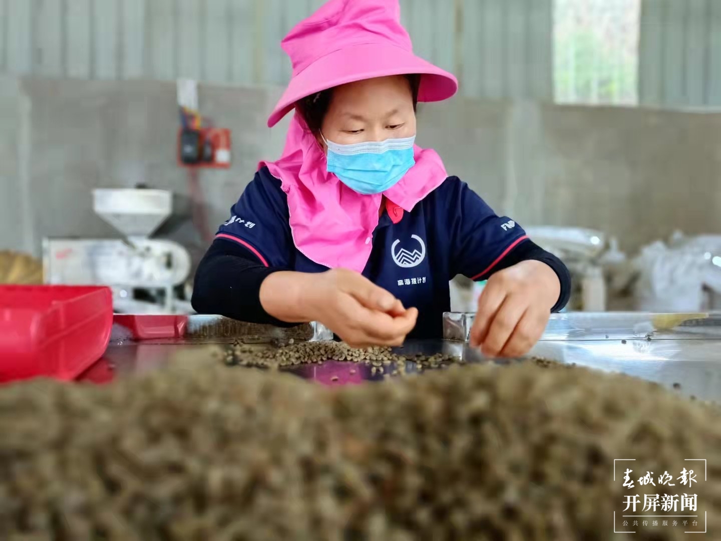芸茶咖啡：打造“从种子到杯子”咖啡产业链