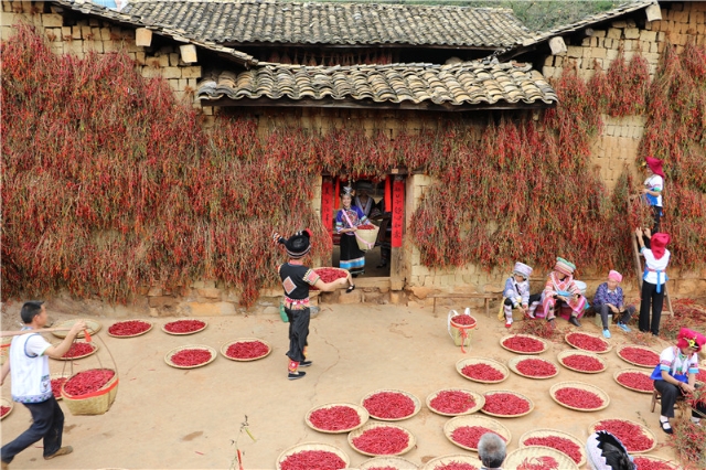 《云南日报》整版聚焦文山 见证筑梦边疆展新姿6.jpg