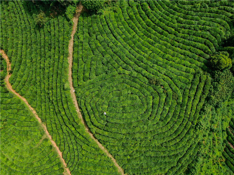 《云南日报》整版聚焦文山 见证筑梦边疆展新姿11.jpg