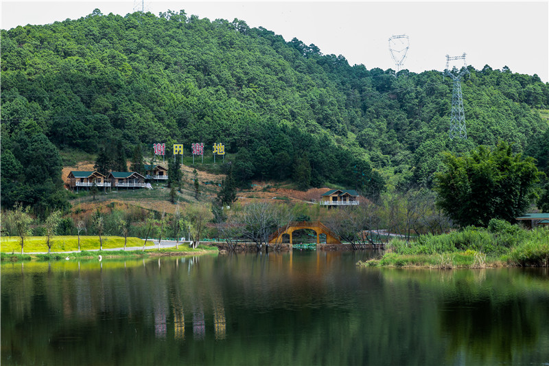 《云南日报》整版聚焦文山 见证筑梦边疆展新姿10.jpg