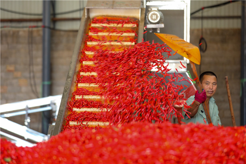 《云南日报》整版聚焦文山 见证筑梦边疆展新姿7.jpg