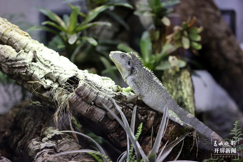 感受过去 遇见未来6.jpg