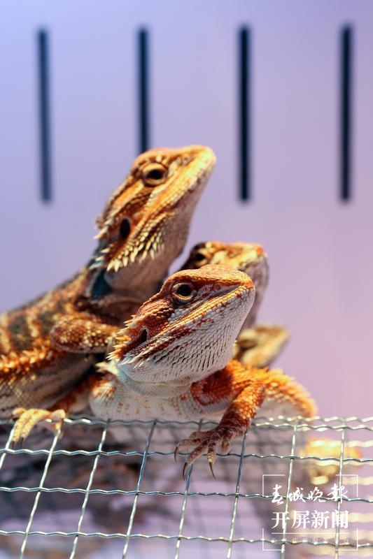 感受过去 遇见未来7.jpg