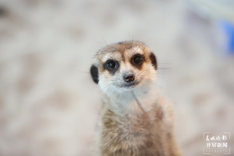 感受过去 遇见未来8.jpg