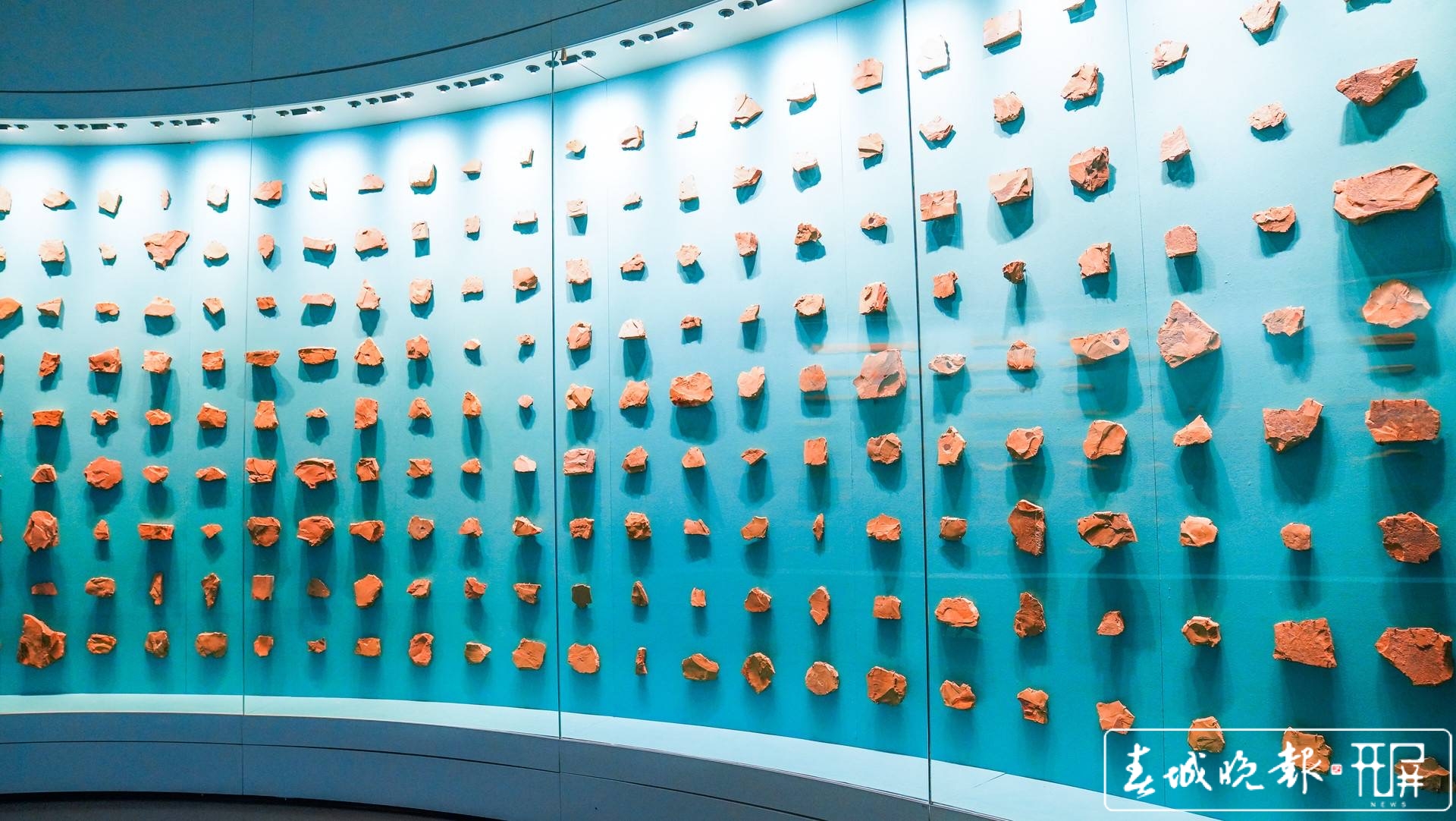 澄江化石地自然博物馆