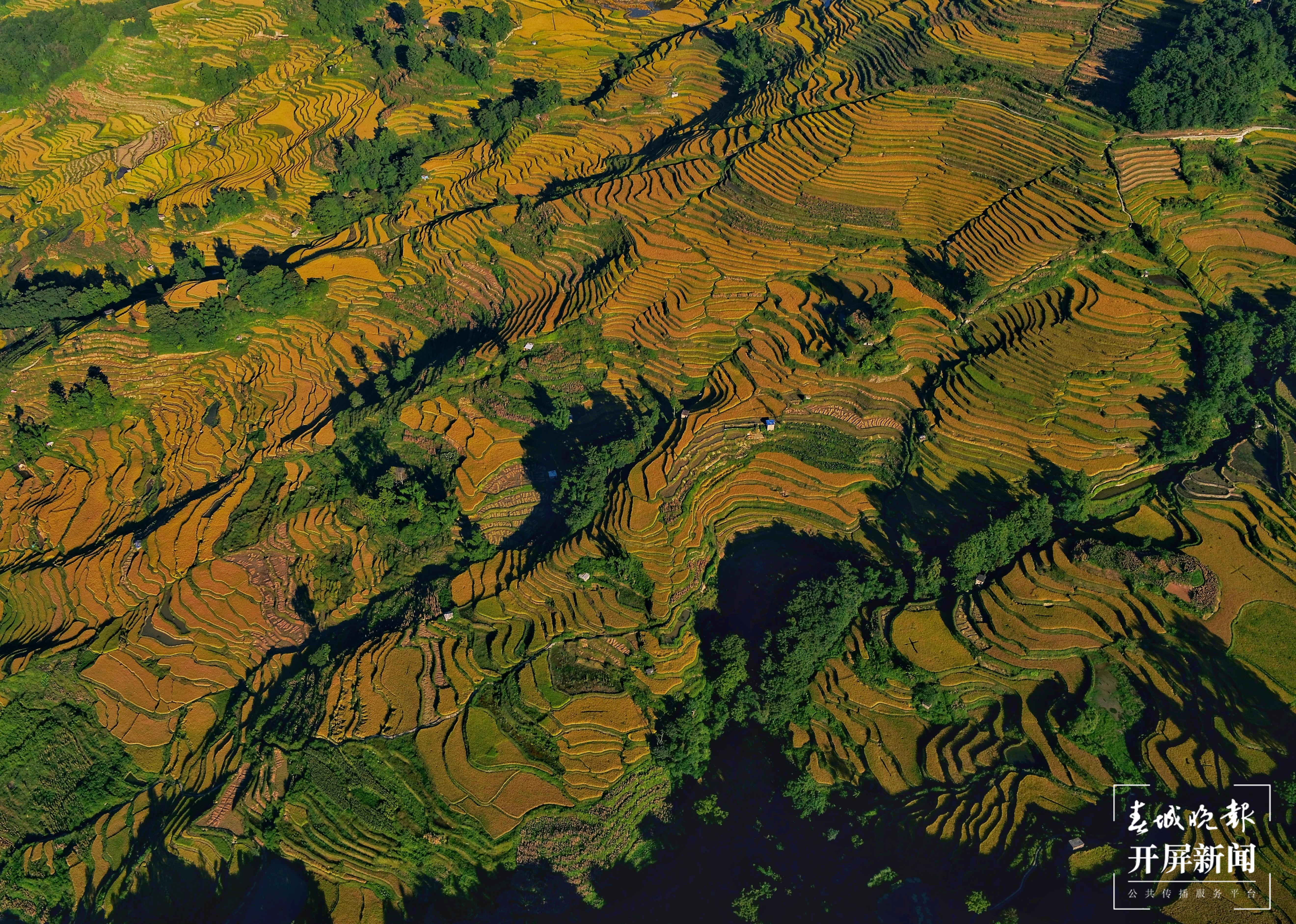 红河哈尼梯田（春城晚报-开屏新闻通讯员 胡艳辉 摄）.jpeg