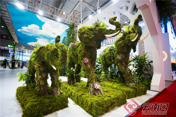 云南展区综述 云南网3.jpg