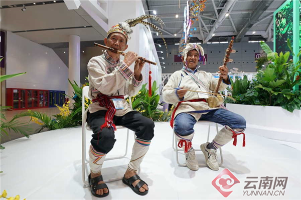 云南展区综述 云南网8.jpg