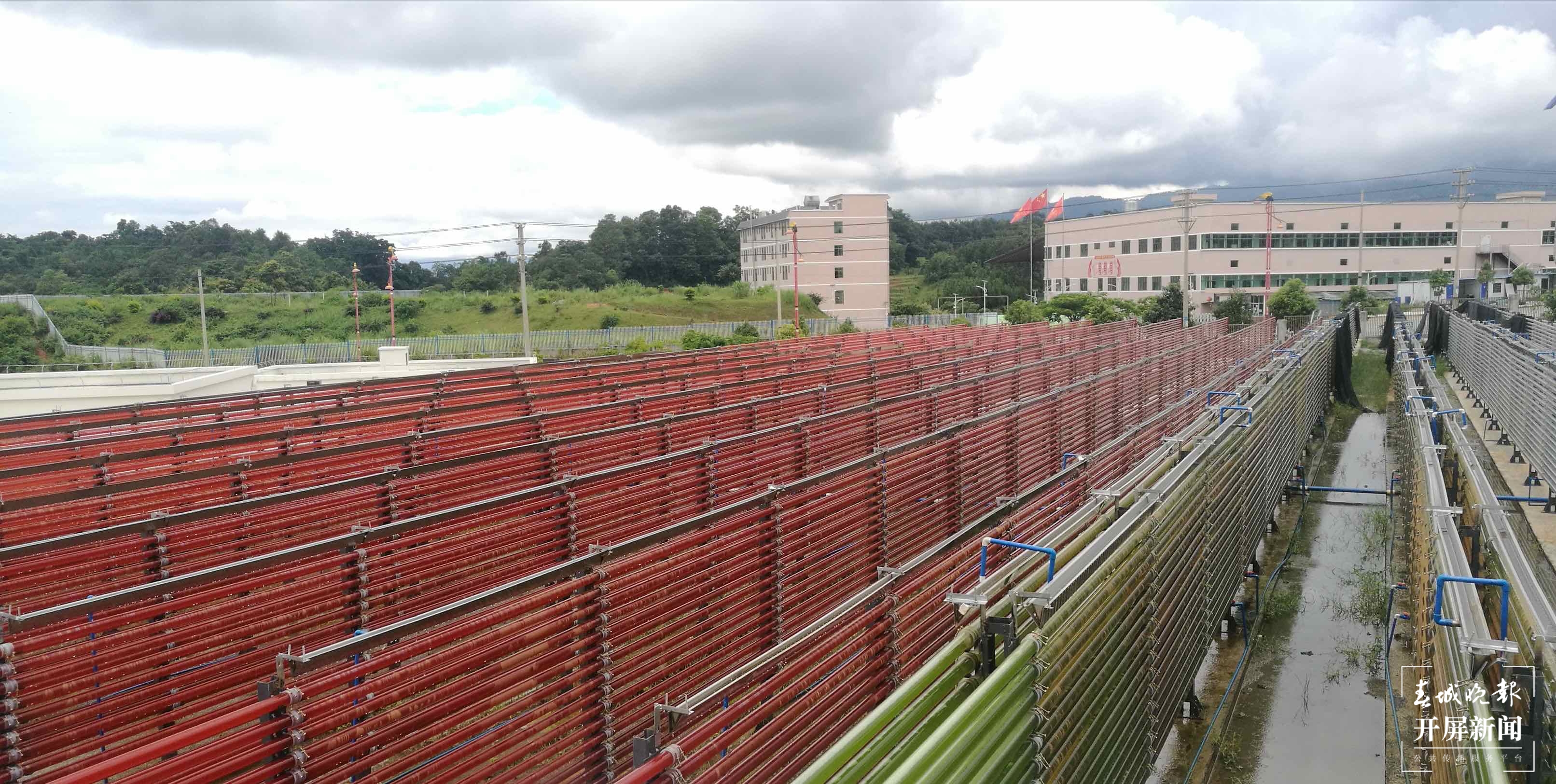 变“碳”为宝 小藻孕育生物大产业2.jpg