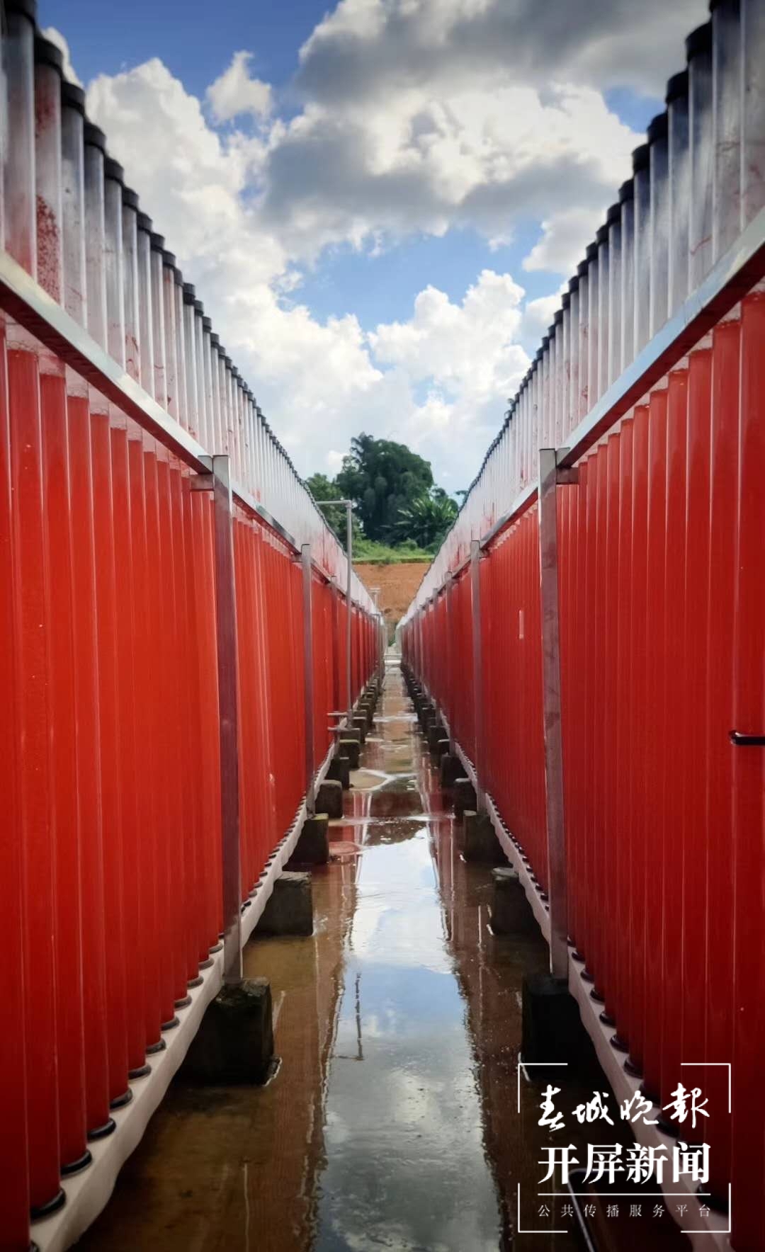 变“碳”为宝 小藻孕育生物大产业3.jpg