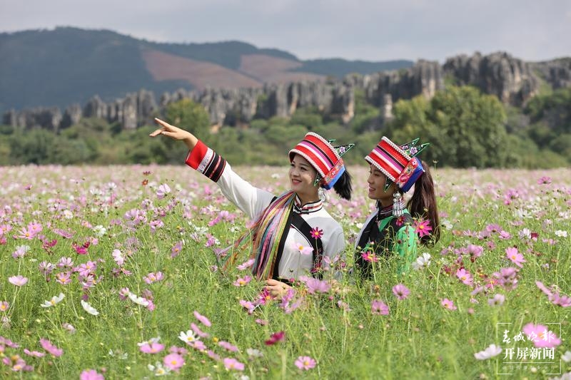烟花秀 电音派对、市集2.jpg