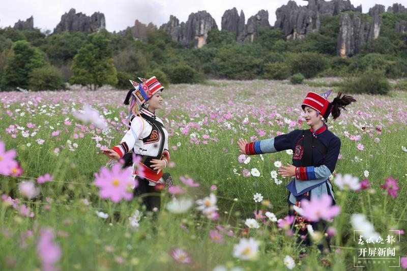 烟花秀 电音派对、市集4.jpg