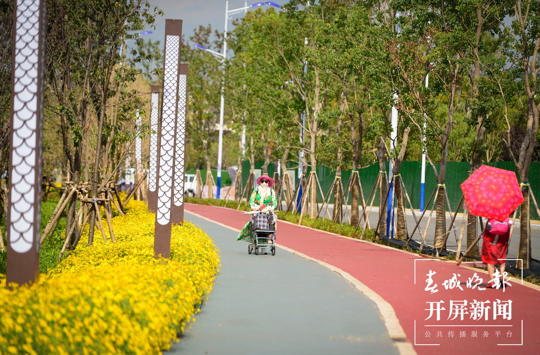 昆明滇池草海隧道公园和环草海生态廊道 春城晚报-开屏新闻记者 龙宇丹 摄