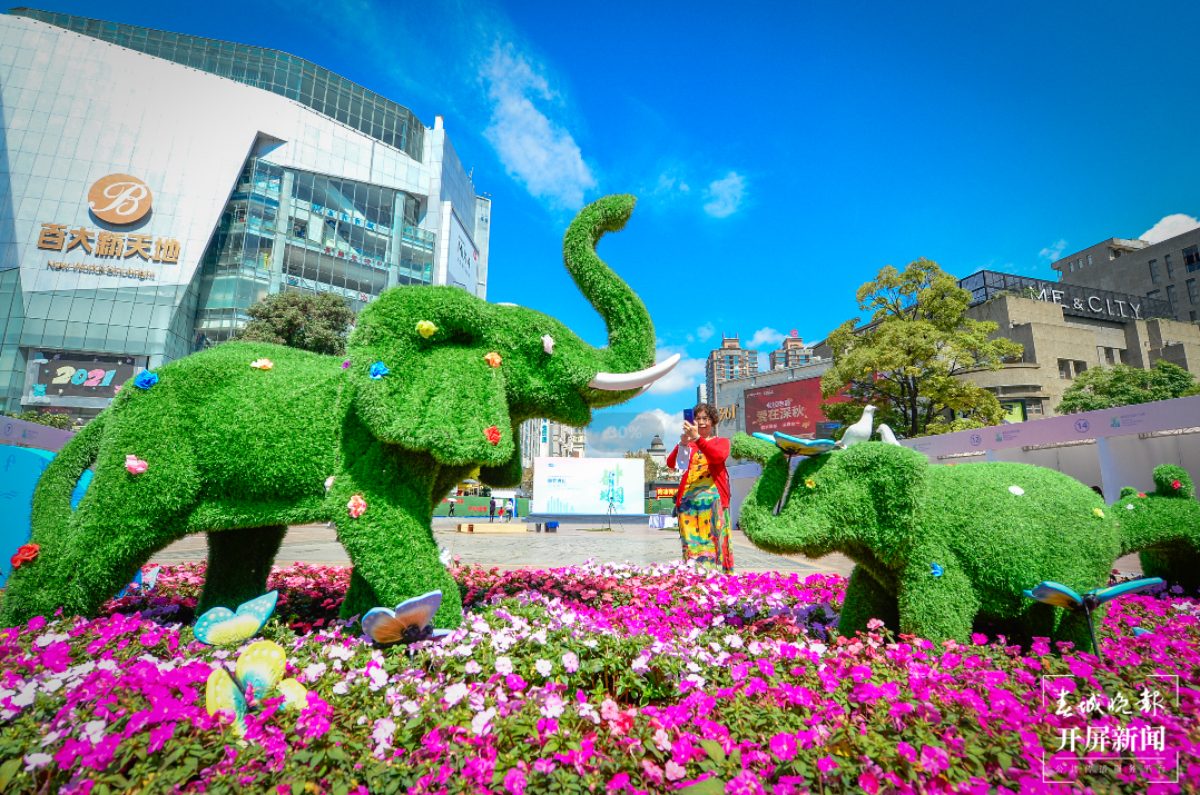 南屏街 春城晚报-开屏新闻记者 龙宇丹 摄影报道