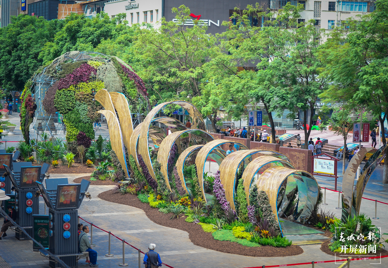 南屏街 春城晚报-开屏新闻记者 龙宇丹 摄影报道