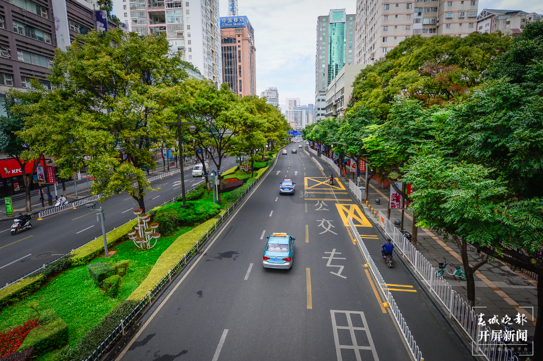 人民中路 春城晚报-开屏新闻记者 龙宇丹 摄影报道