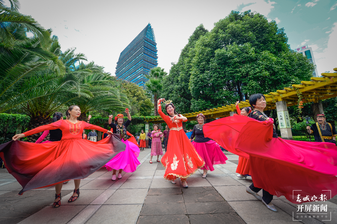 五华区政府旁  春城晚报-开屏新闻记者 龙宇丹 摄影报道