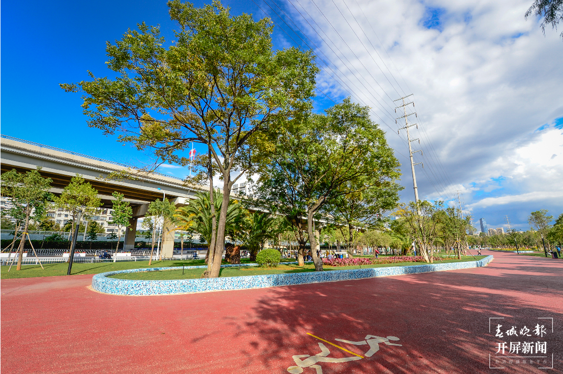 昆明迎接COP15  春城晚报-开屏新闻记者 龙宇丹 摄影报道