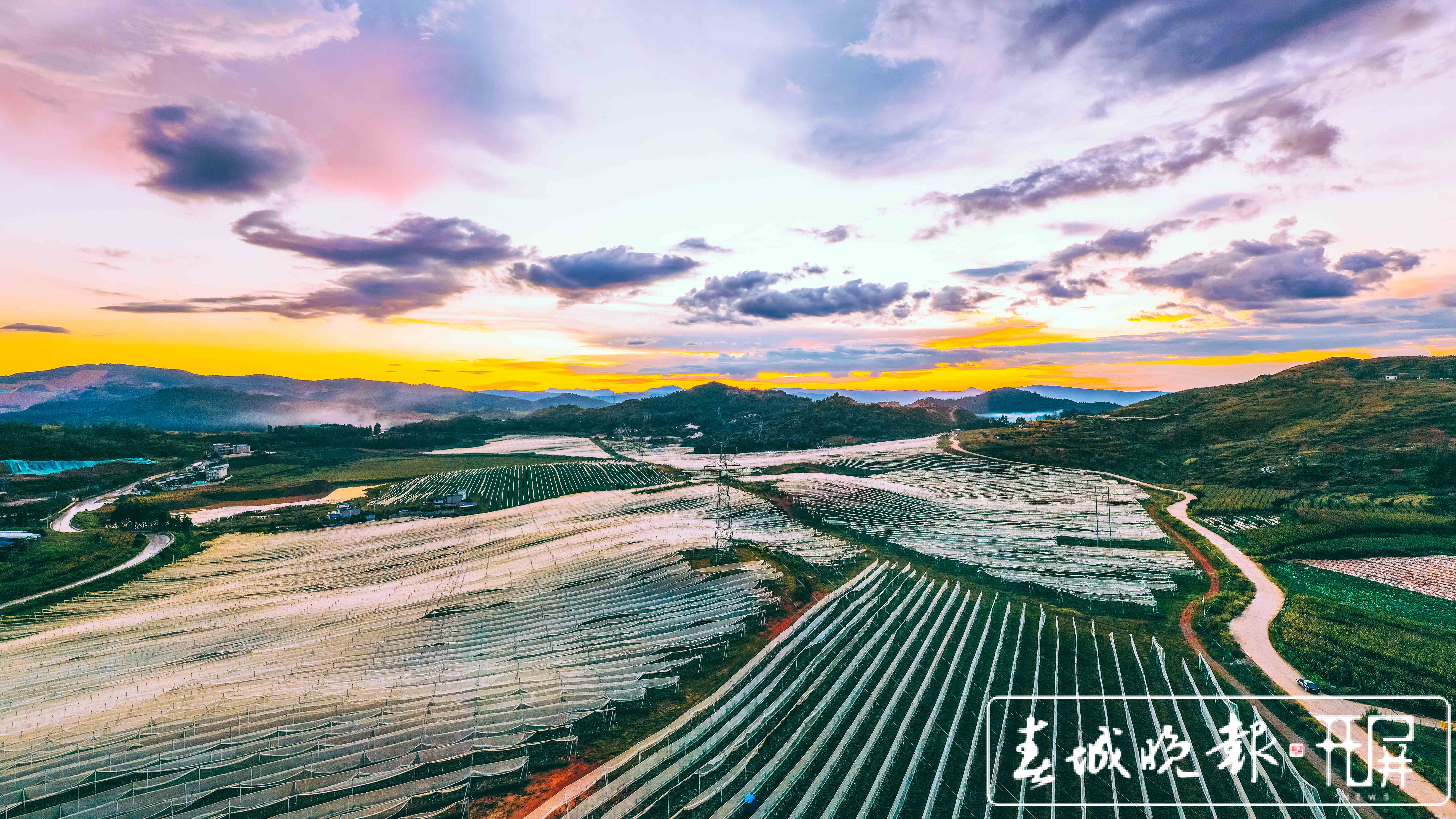 西山区现代苹果示范园苹果采摘节等你来！（徐俊/摄）