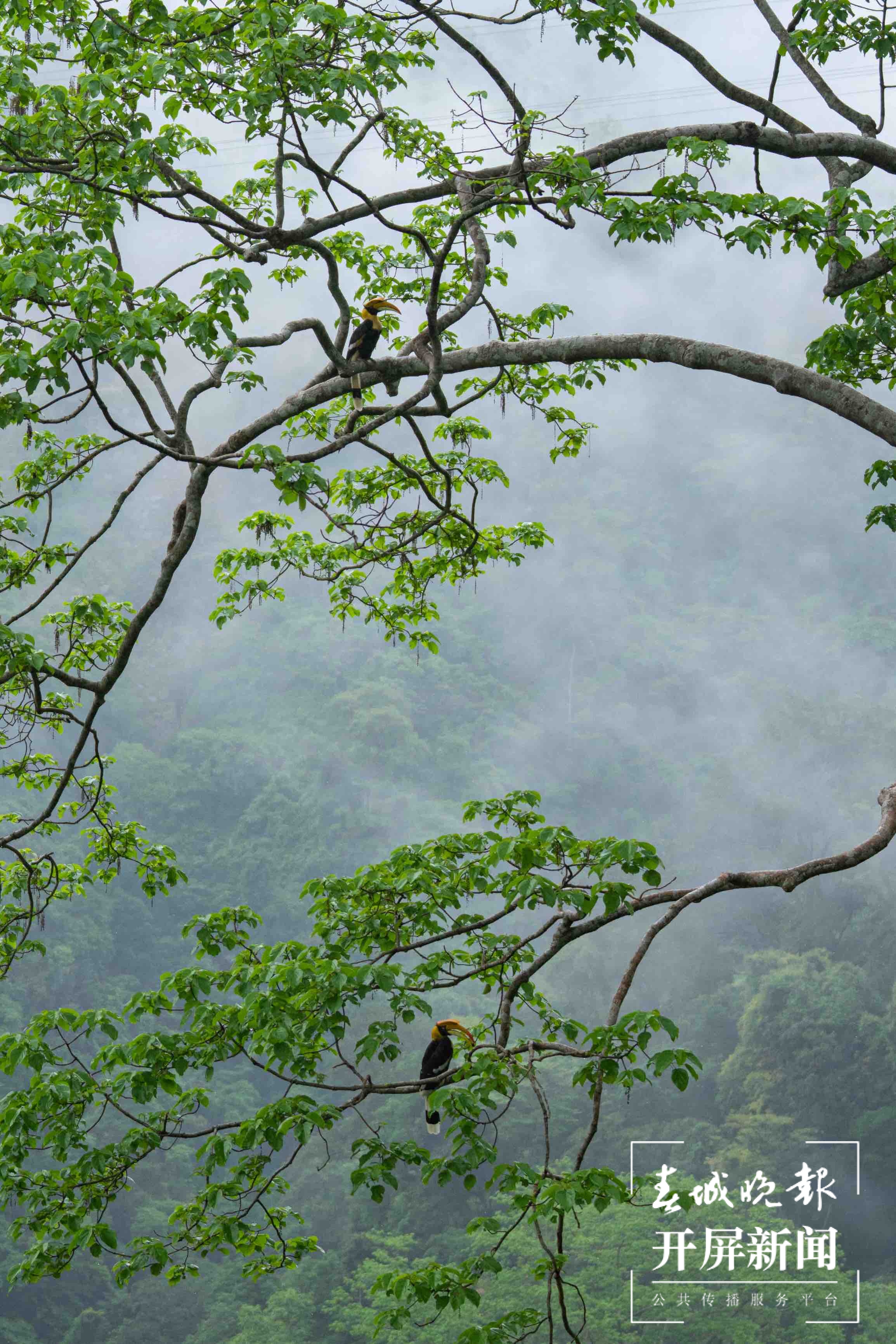 盈江打造美丽乡村，为大滇西旅游环线添上一颗“明珠” 