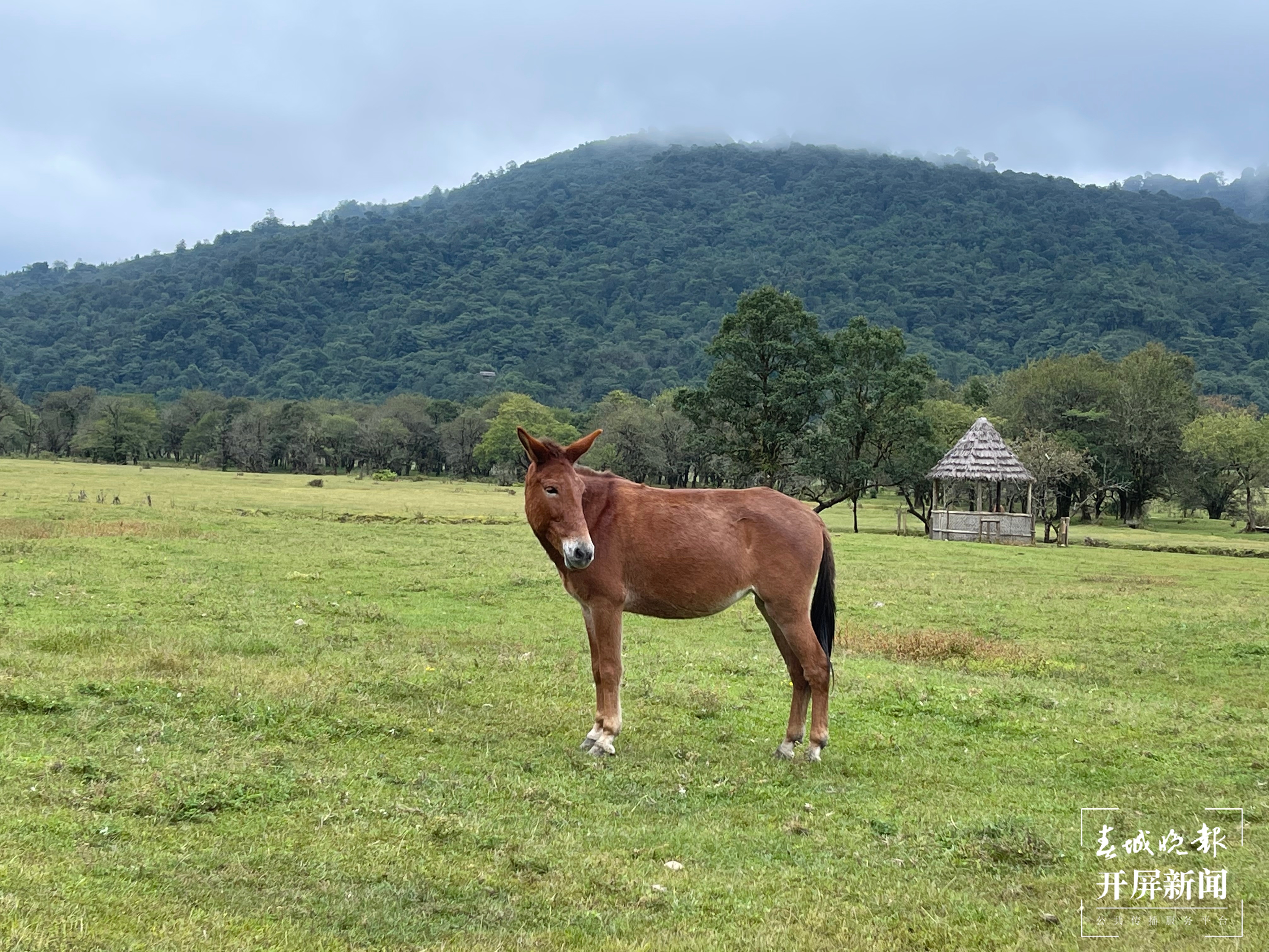 盈江打造美丽乡村，为大滇西旅游环线添上一颗“明珠” 