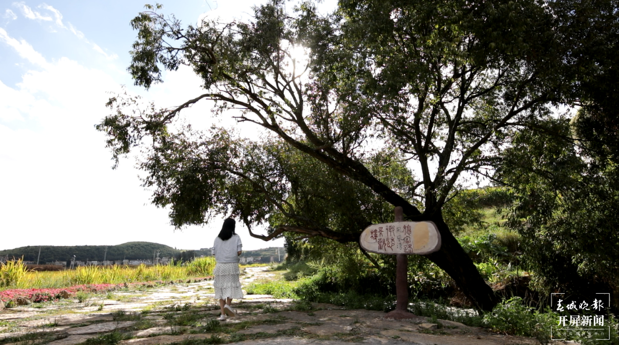 国庆开启另类旅行体验!曲靖马龙有一个天然的大型农耕博物馆 春城晚报-开屏新闻记者 蒋琼波 通讯员 周子义 摄影报道