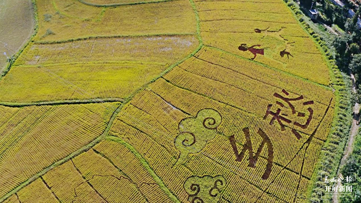 国庆开启另类旅行体验!曲靖马龙有一个天然的大型农耕博物馆 春城晚报-开屏新闻记者 蒋琼波 通讯员 周子义 摄影报道