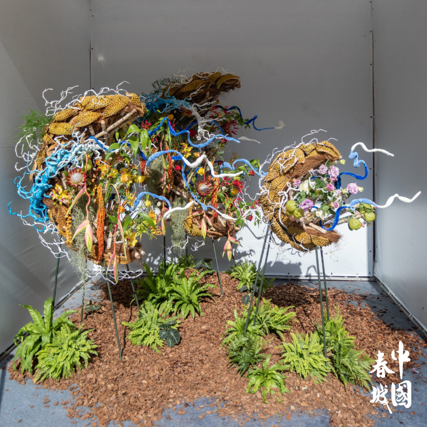 不可错过的视觉盛宴！中国春城插花花艺设计大赛作品在这里展出