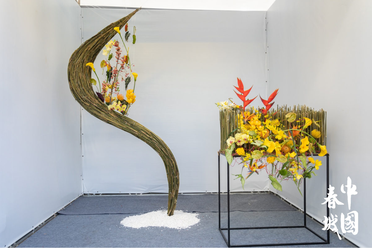 不可错过的视觉盛宴！中国春城插花花艺设计大赛作品在这里展出