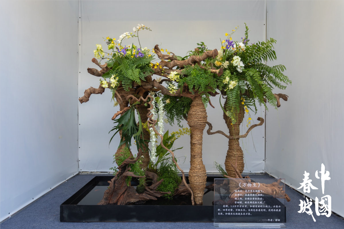 不可错过的视觉盛宴！中国春城插花花艺设计大赛作品在这里展出