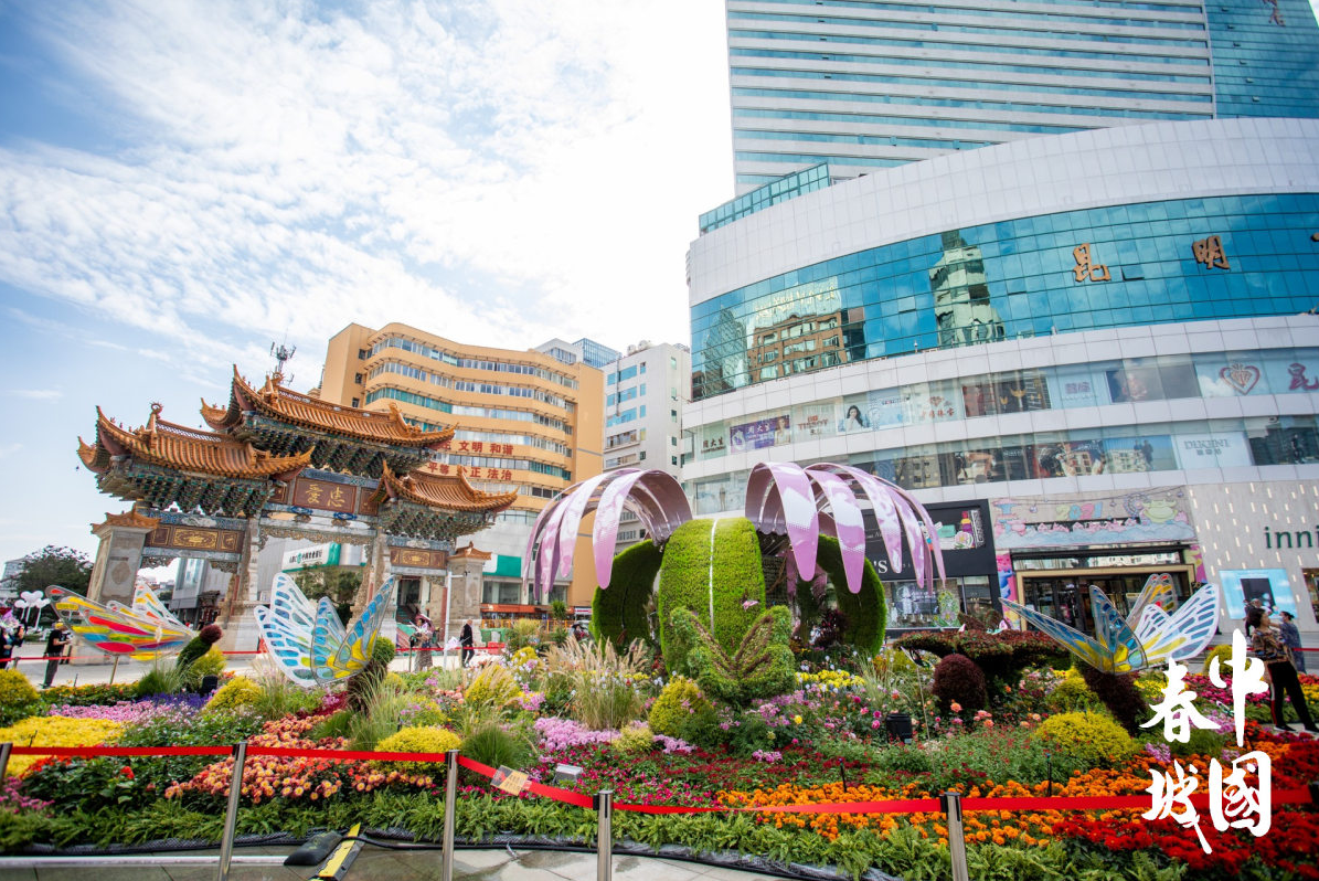 不可错过的视觉盛宴！中国春城插花花艺设计大赛作品在这里展出