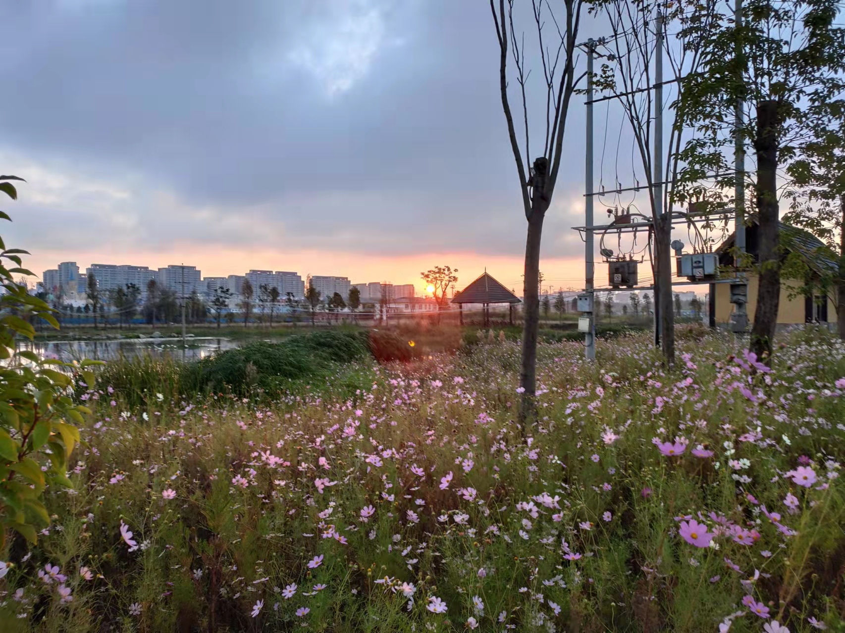 日出（图自武老师朋友圈）