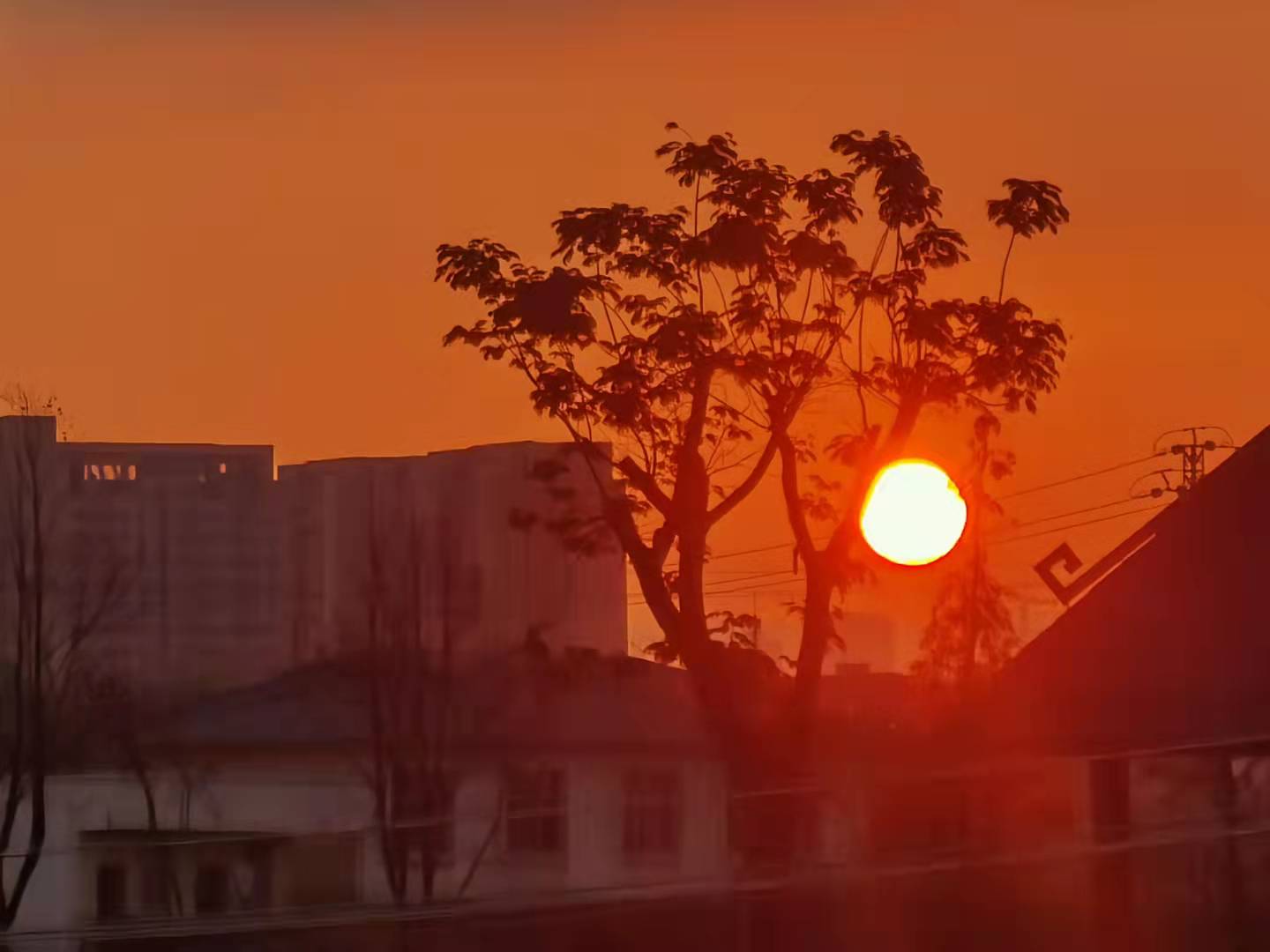 日出（图自武老师朋友圈）