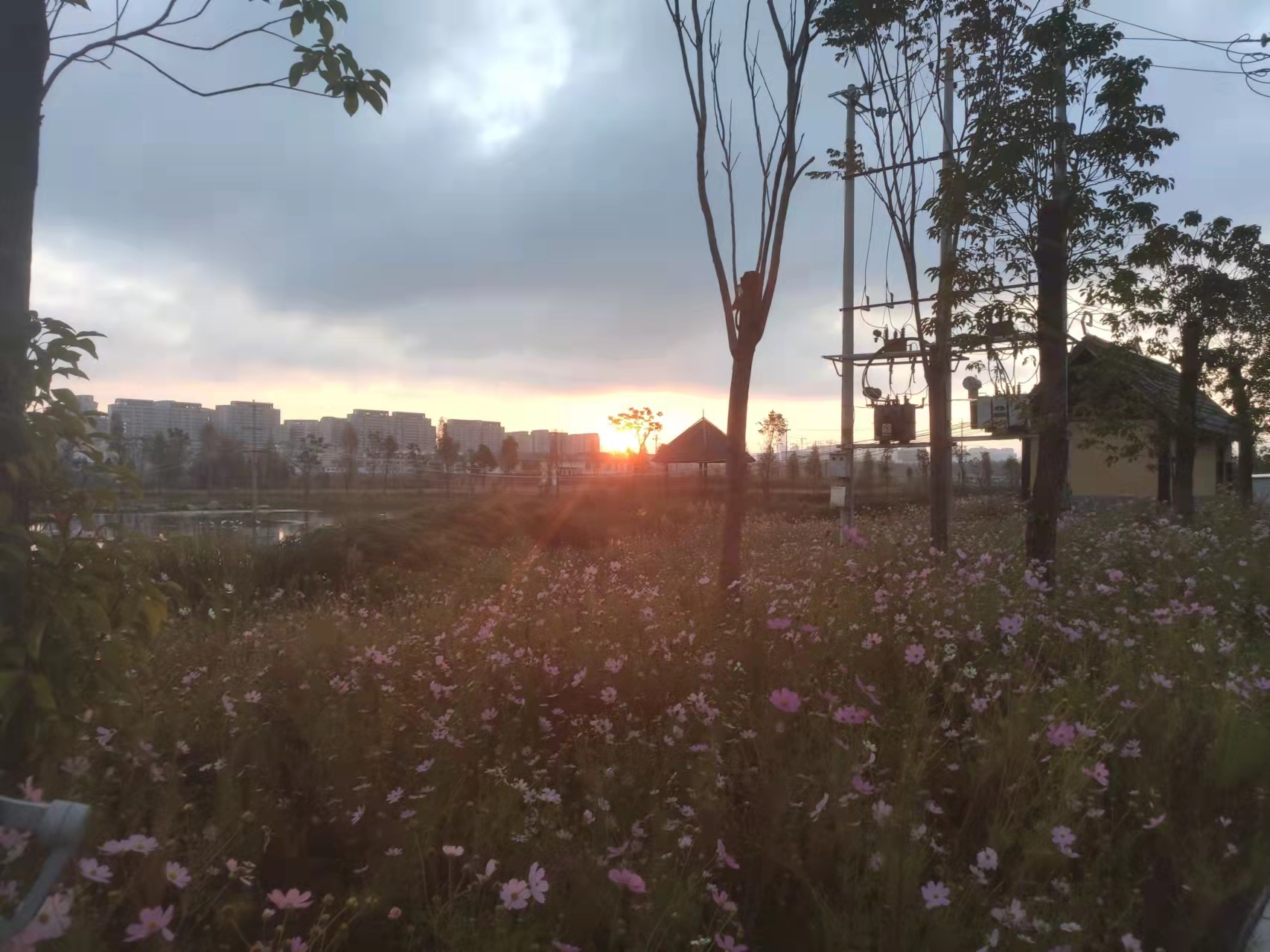 日出（图自武老师朋友圈）