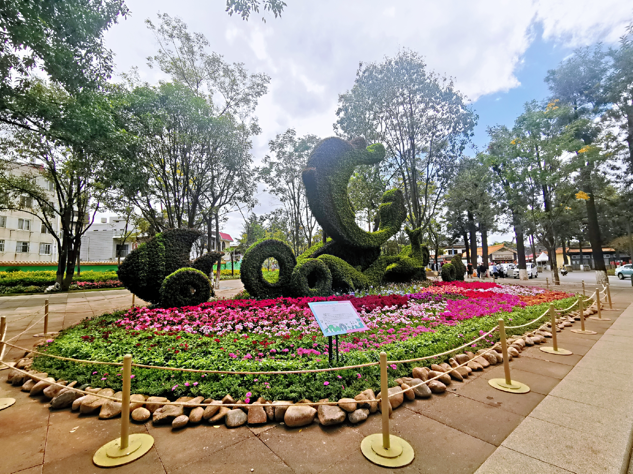 大观公园菊花“”（春城晚报=开屏新闻记者 左学佳）