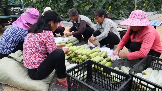 老区新颜 家门口就业 稳稳的幸福 央视网2.jpg