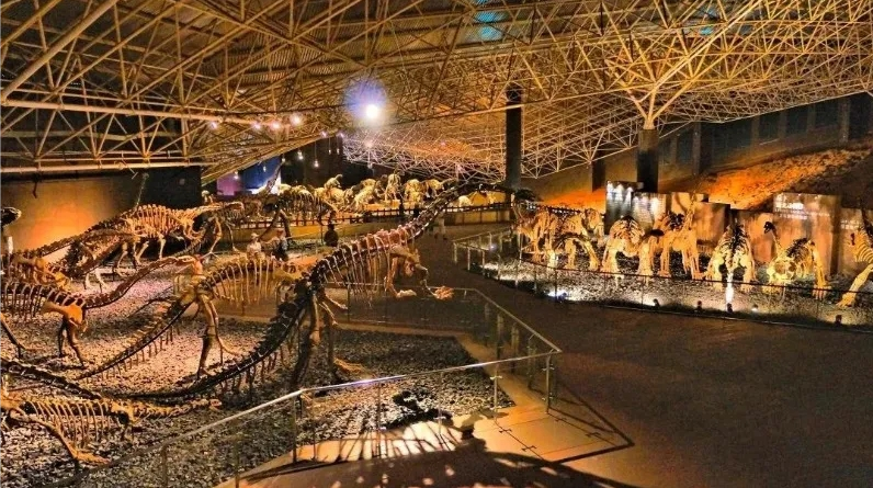 花样楚雄国庆宝藏线路打卡攻略 楚雄州文旅局 各景区供图