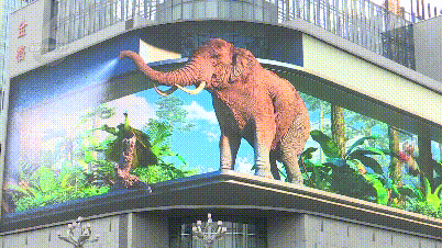 昆明国庆假期 图片来源于都市时报