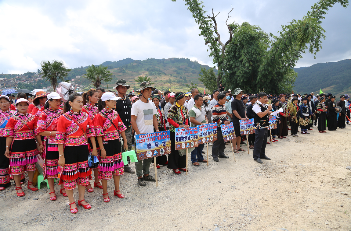 梯田变赛场！元江哈尼山寨国庆玩出新花样