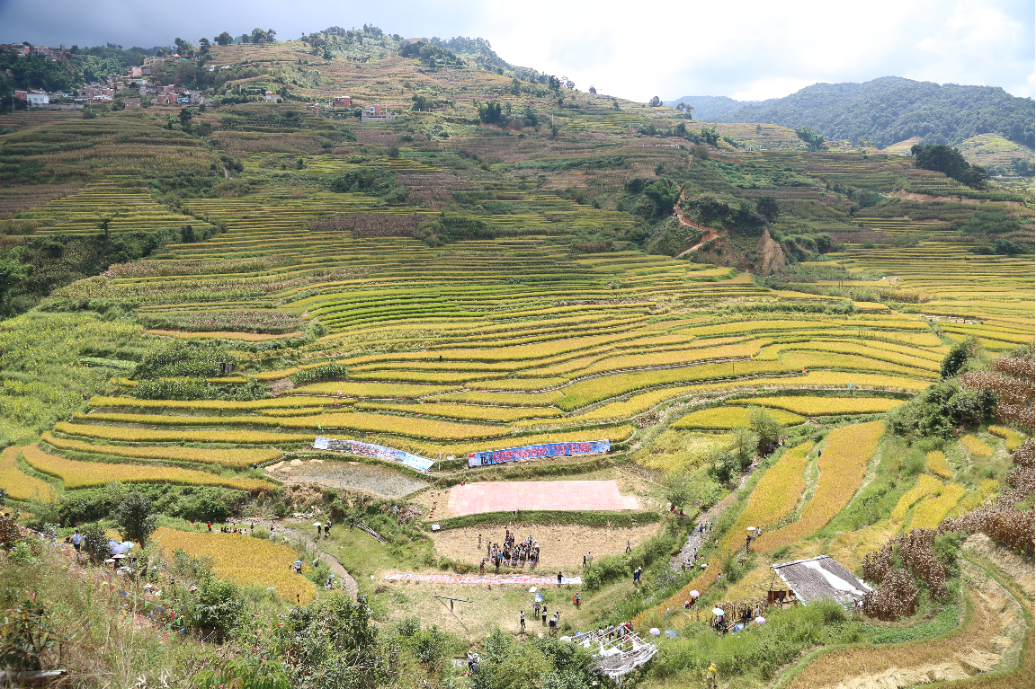 梯田变赛场！元江哈尼山寨国庆玩出新花样