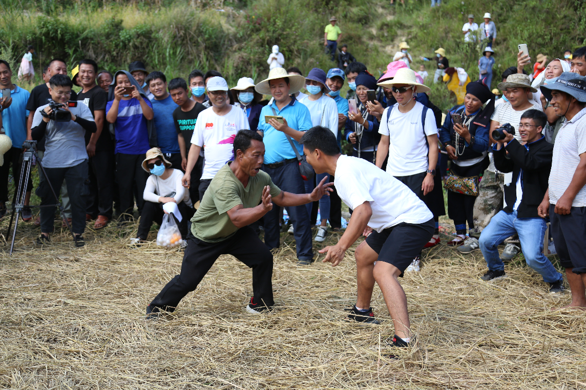 梯田变赛场！元江哈尼山寨国庆玩出新花样