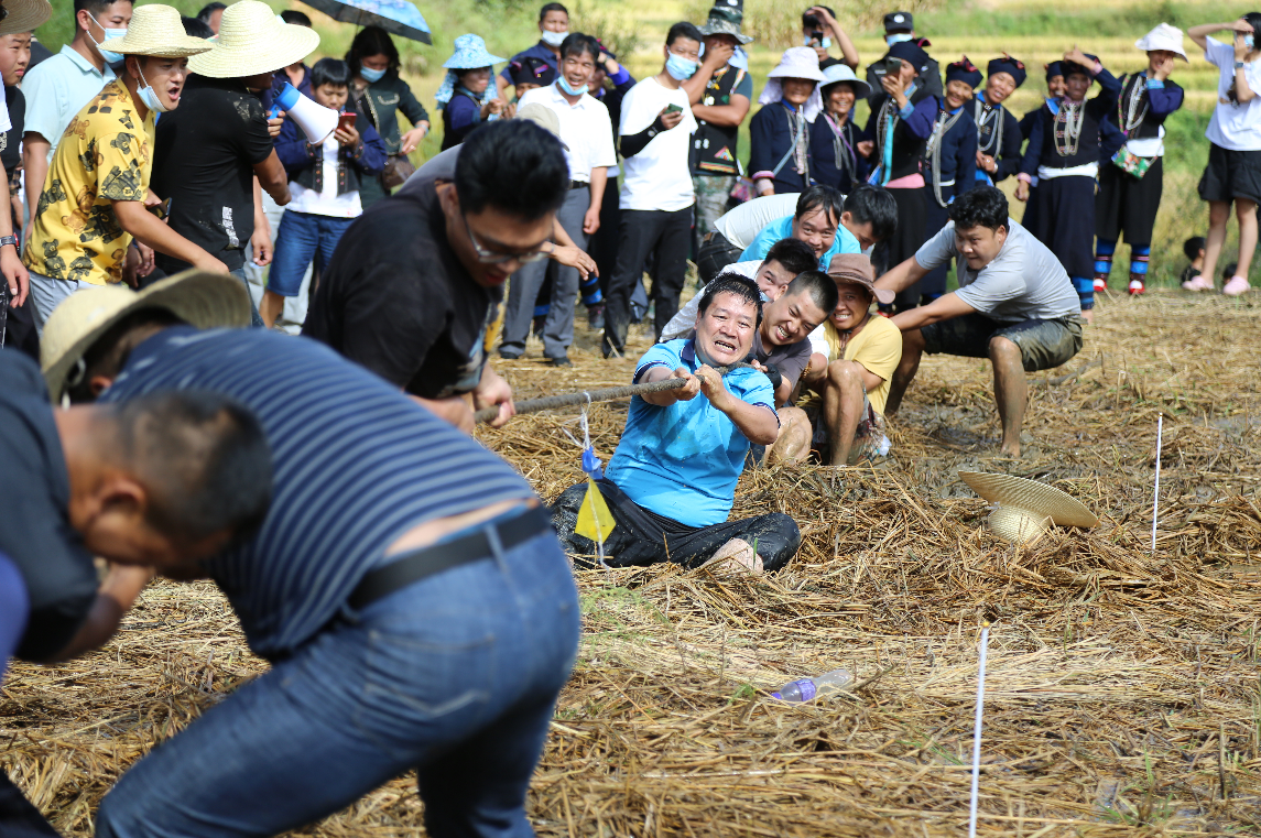 梯田变赛场！元江哈尼山寨国庆玩出新花样