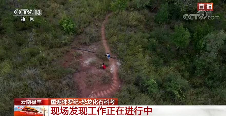 探访那些生活在2亿年前的史前动物 央视网1.jpg