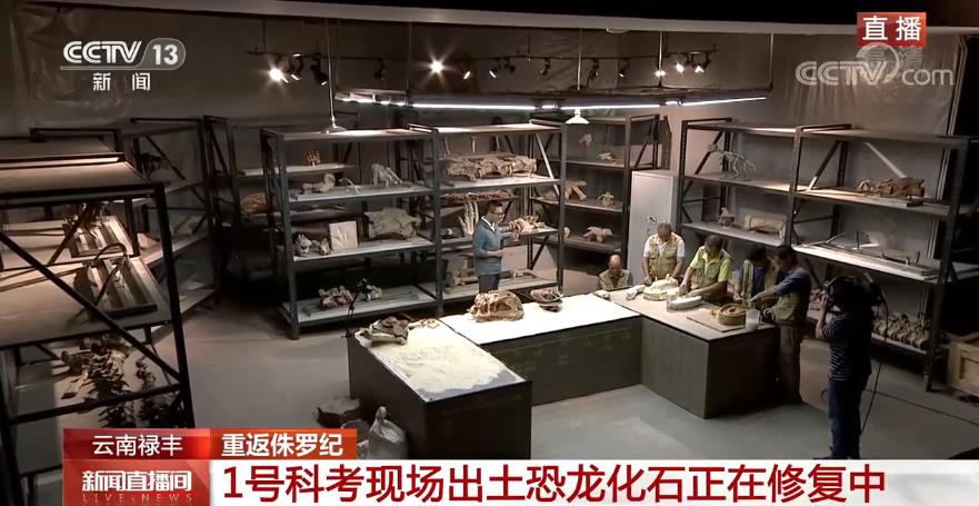 探访那些生活在2亿年前的史前动物 央视网5.jpg