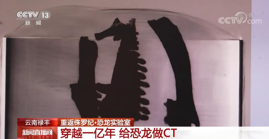 探访那些生活在2亿年前的史前动物 央视网6.jpg