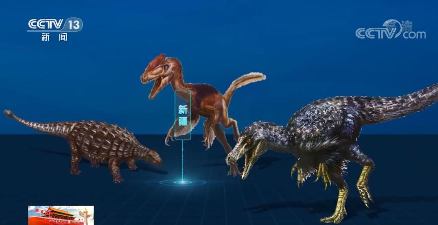 探访那些生活在2亿年前的史前动物 央视网7.jpg