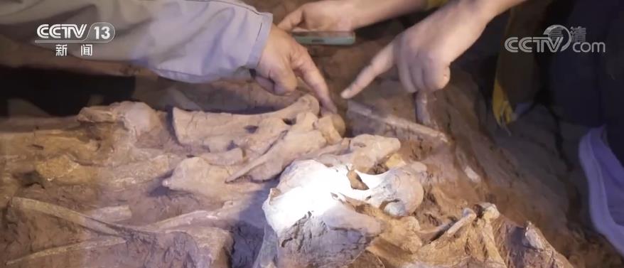 一眼穿越亿万年 重返侏罗纪3.jpg